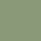 Pale-Green-paint