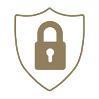 Security icon