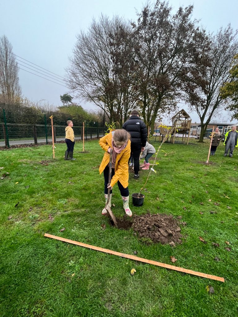 Pupil from Donington Cowley Primary school planting a tree in the new orchard